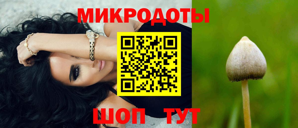 Галлюциногенные грибы Psilocybe  Псилоцибиновые грибы Psilocybe  Вход с VPN  Новозыбков 