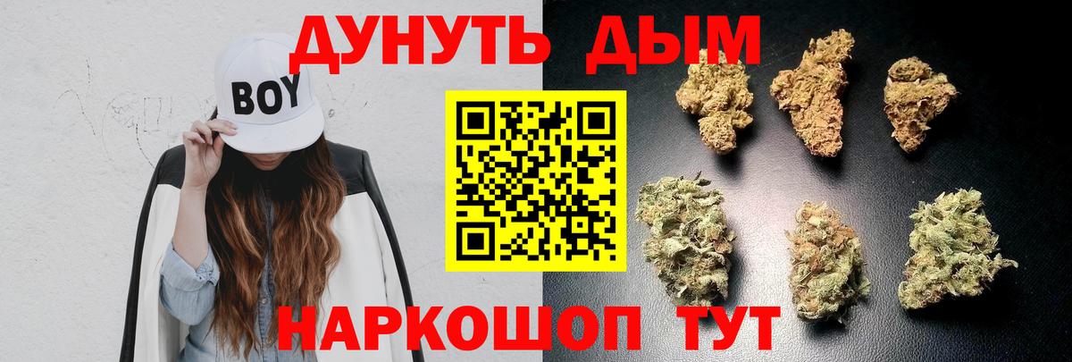 Бошки марихуана VHQ  Вход с VPN  Новозыбков  Бошки марихуана VHQ  Марихуана сатива 